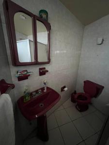 瓜達拉哈拉的住宿－Casa con alberca en Zapopan，一间带红色盥洗盆和卫生间的浴室