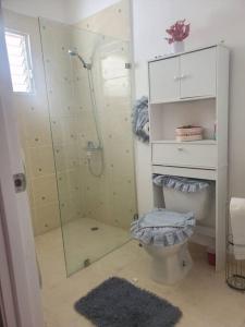 La salle de bains est pourvue de toilettes et d'une douche en verre. dans l'établissement Hermoso Apto. en Bani, Rep. Dom., à Baní
