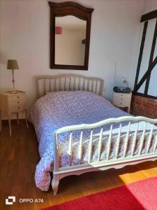 1 dormitorio con 1 cama con espejo en la pared en Maison entière avec piscine chauffée 4p, en Brétigny