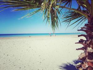 a beach with a palm tree and the ocean at DGS APARTHOTEL in Trapani