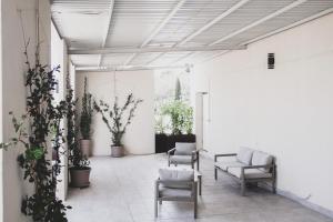 een kamer met stoelen en potplanten bij Lucana Rooftop in Matera