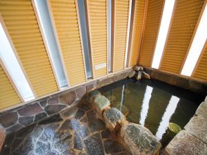 فندق إيه بي إيه تاكاساكي إيكيمي في تاكاساكي: تجمع مياه في غرفة مع نوافذ