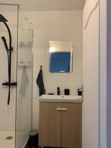 La salle de bains est pourvue d'un lavabo et d'une douche. dans l'établissement Lokitas, à Marseille