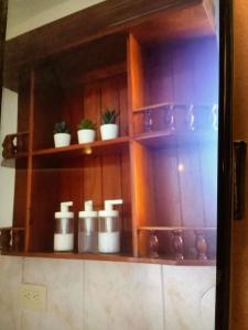 a shelf with pots and plants on it in a kitchen at Guridys Room for Rent ! in Los Tres Ojos de Agua