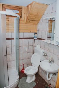 y baño con aseo y lavamanos. en Guest house SAMM en Šišava