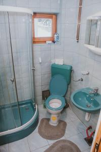 a bathroom with a blue toilet and a sink at Guest house SAMM in Šišava