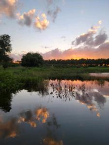 un reflejo de la puesta de sol en un estanque en Tiny Paradise Escape llc, en Howey in the Hills