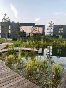 a house with a pond in front of it at GOLD apartment / Mano jūra 3 in Kunigiškiai