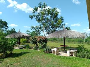 two picnic tables and umbrellas in a park at La herencia in Caacupé