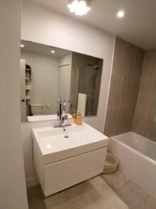 La salle de bains est pourvue d'un lavabo, d'une baignoire et d'un miroir. dans l'établissement 3 bedroom near Olympic Stadium, à Montréal