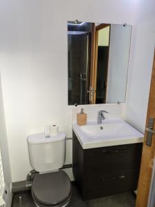 La salle de bains est pourvue de toilettes, d'un lavabo et d'un miroir. dans l'établissement Retraite Tropicale à Marseille, à Marseille