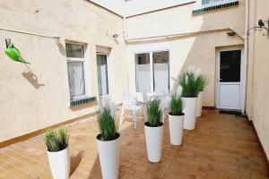 una fila de macetas blancas con plantas en un patio en Villa Marine*Entre mer et Jardin, en Coudekerque-Branche