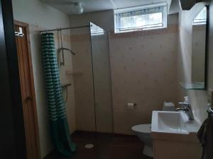 y baño con ducha, aseo y lavamanos. en Ölandsberg, Lilla lägenheten, en Gränna
