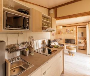 eine Küche mit einer Spüle und einer Mikrowelle in der Unterkunft Les Gîtes du Bioparc 