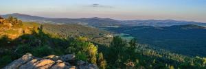 a view of a valley with trees and mountains at Ferienwohnung Eleni in Mauth +3 photos