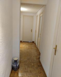 einen leeren Flur mit einer Vase auf dem Boden in der Unterkunft Habitación luminosas en Vista Alegre in Madrid