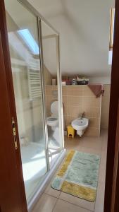 LazarevacにあるStan na dan S8のバスルーム(シャワー、トイレ、シンク付)