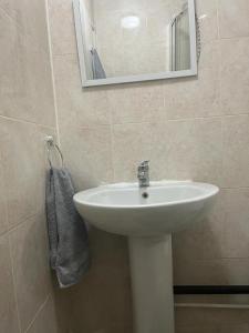 a bathroom with a white sink and a mirror at One Bedroom Apartment with Garden in London