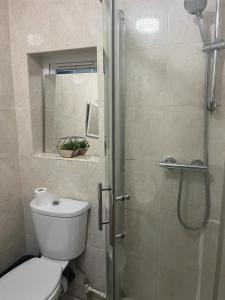 a bathroom with a toilet and a glass shower at One Bedroom Apartment with Garden in London