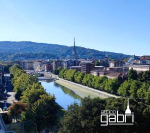 a river in the middle of a city at Attico Gabri - Appartamento con terrazzo panoramico vicino al Centro in Turin