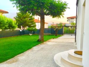 a driveway with a tree in a yard at casa vacanze lido riccio in Ortona