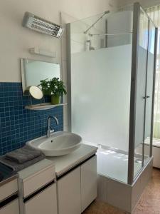 a bathroom with a sink and a glass shower at Altbauwohnung im Herzen vom Lend in Graz