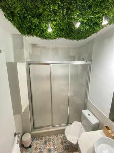 a bathroom with a shower and a toilet at Apartamento centro de malaga in Málaga