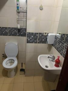 La salle de bains est pourvue de toilettes et d'un lavabo. dans l'établissement Altunlar apart 1, à Altındağ