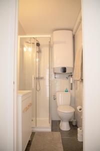 a bathroom with a white toilet and a shower at Le Marais - Appart'Escale in Saint-Nazaire