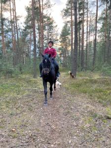 a person riding a horse in the woods with a dog at Agro-Stajnia 