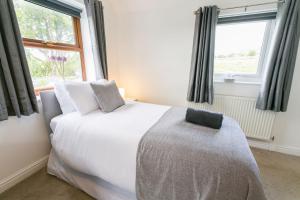 a bedroom with a white bed and a window at Tan y Bryn Bach in Llanllechid