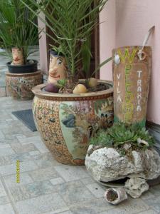 un grupo de vasijas grandes con plantas en ellas en Villa Trakia, en Golden Sands