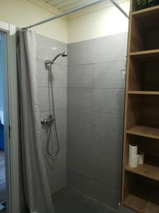a shower with a shower curtain in a bathroom at Cc39 -Q1 in Funchal