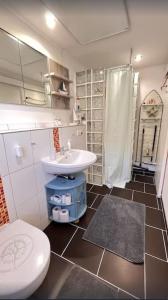 uma casa de banho com um lavatório, um WC e um chuveiro em idyllisches Ferienhäuschen em Lansen