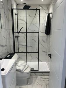 a bathroom with a shower and a toilet and a sink at Forte circle, luxury apartments in South Norwood