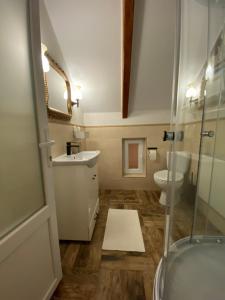 een badkamer met een wastafel en een toilet bij Casa Moldovan ( Coltisorul meu de rai) in Ocna Şugatag