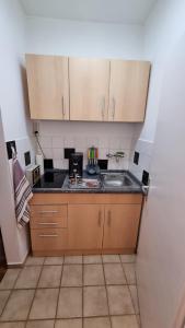 Kuchyň nebo kuchyňský kout v ubytování Appartement zum Entspannen + 7 fotografií