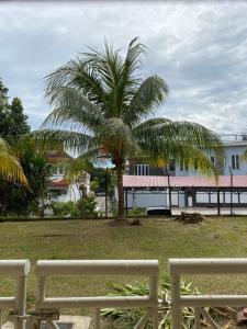 a palm tree in front of a white house at Seri Kasturi Apartment in Puchong
