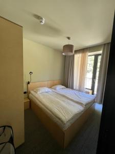 1 dormitorio con 1 cama grande y ventana en Kokhta - Mitarbi Apartment , Bakuriani, en Bakuriani