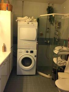 een badkamer met een wasmachine en een douche bij 3 Lovely rooms in Helsinki center. in Helsinki