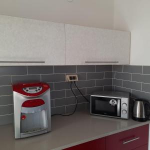 eine Küchentheke mit einem Toaster und einer Mikrowelle in der Unterkunft yael house in Aschkelon