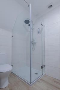 een glazen douche in een badkamer met een toilet bij Casa do Azulejo I in Setúbal