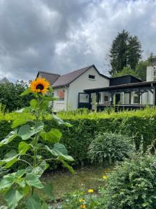a sunflower in a garden in front of a house at Cozy Garden Glamping in Svendborg