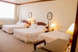 Nobile Suites Excelsior Asuncionにあるベッド