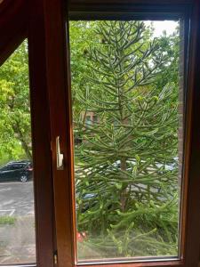 a view of a tree through a window at Gartenblick-Oase: Obergeschosswohnung in Hamburg in Hamburg