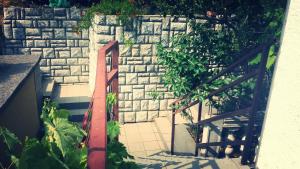 Zahrada ubytování Apartmani Čempres Senj