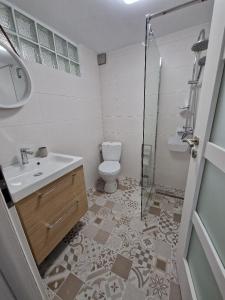 Un baño con inodoro, lavabo y ducha. en Bran Studio, en Bran