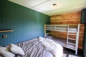 a bedroom with green walls and a bunk bed at The Hambleton Hut in Upper Hambleton