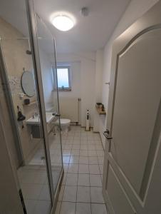 ein Bad mit einer Dusche, einem Waschbecken und einem WC in der Unterkunft Ferienwohnung Mila, Scheidt in Saarbrücken