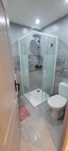a bathroom with a shower and a toilet at charmant studio in Saint-Hilaire-du-Rosier